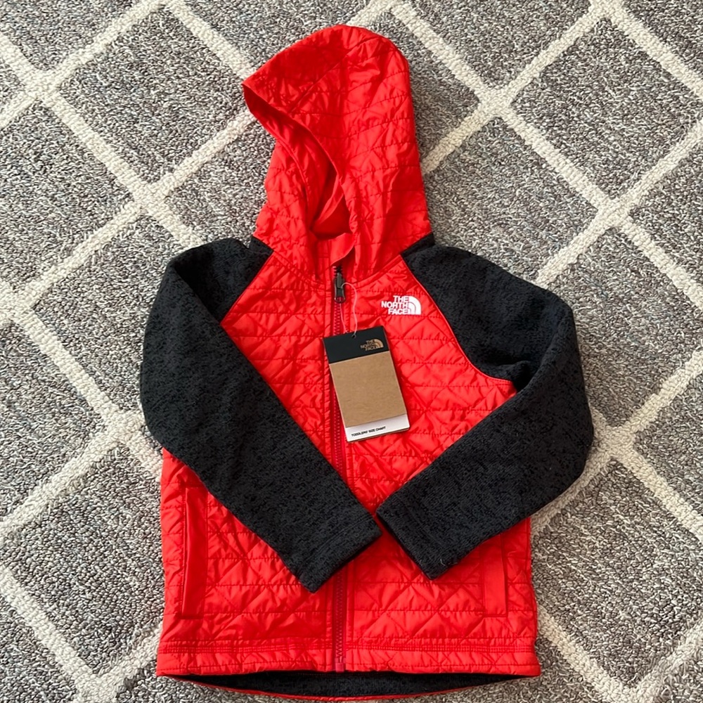 The north face jacket